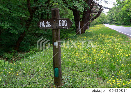 木製の標高板【500m】 木製の標高板【500m】 66439314