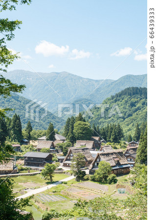初夏の相倉合掌造り集落 66439333