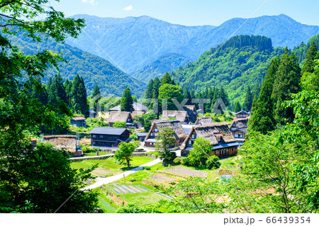 初夏の相倉合掌造り集落 初夏の相倉合掌造り集落 66439354