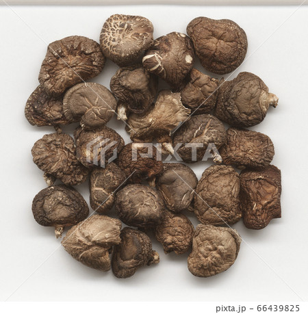 干し椎茸 表 干し椎茸 表 66439825