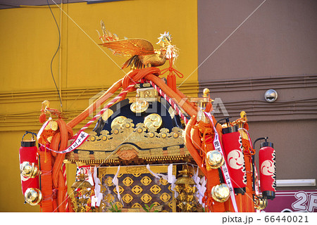 【神奈川】横須賀　よこすかみこしパレード 66440021