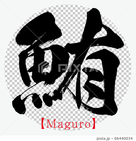 鮪 Maguro 筆文字 手書き のイラスト素材