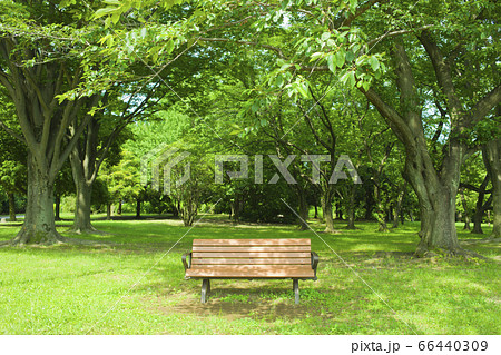 公園　ベンチ 66440309