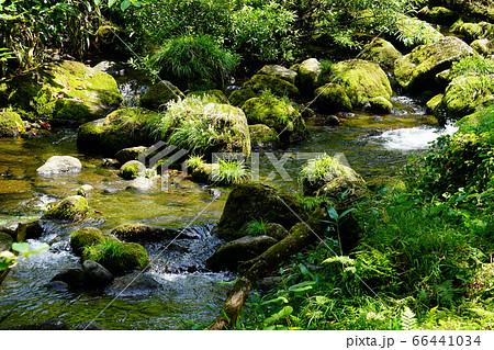 東北 秋田県 鳥海山元滝伏流水 東北 秋田県 鳥海山元滝伏流水 66441034