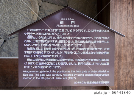 神奈川県　小田原城　銅門（あかがねもん） 66441340