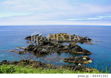 北海道　礼文島 66441362