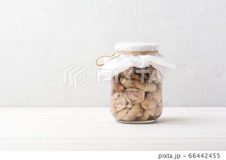 Pickled fermented mushrooms Suillus in a glass jar for canning on a white table. direct view. direct view. horizontal. suillaceae. traditional russian dish 66442455
