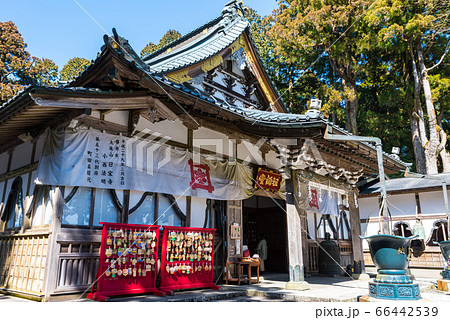 身延山久遠寺・奥之院思親閣、祖師堂/本堂(山梨県南巨摩郡身延町)2020年3月 身延山久遠寺・奥之院思親閣、祖師堂/本堂(山梨県南巨摩郡身延町)2020年3月 66442539
