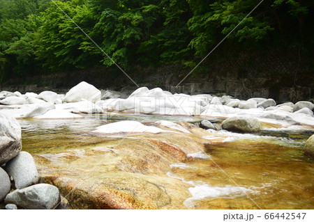 群馬県みどり市　渡良瀬渓谷渓流の石風景 66442547
