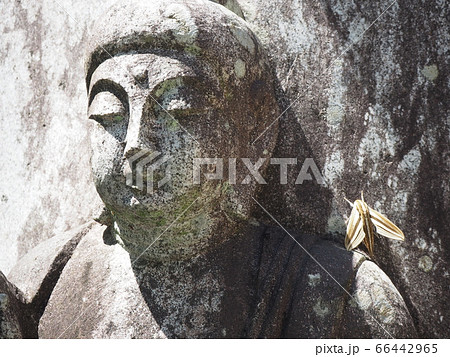 仏像にとまったセスジスズメ 仏像にとまったセスジスズメ 66442965