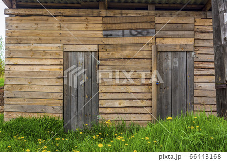 Two wooden doors in wall of old ugly barn from rough boards in summer 66443168