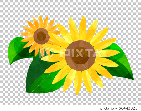 切り絵風のひまわりのイラスト ベクターのイラスト素材