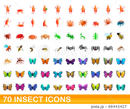 70 insect icons set, cartoon style 66443427