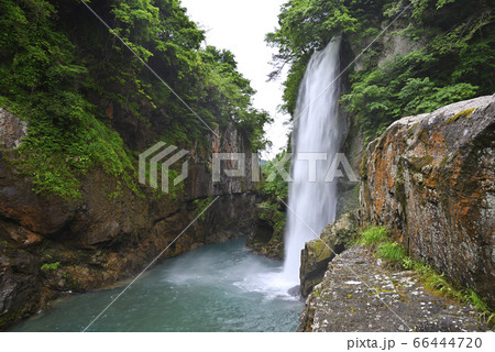 綿ヶ滝　手取峡谷（石川県白山市） 66444720