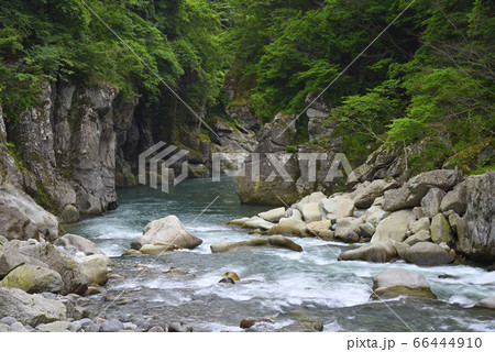 手取峡谷(石川県白山市) 手取峡谷(石川県白山市) 66444910