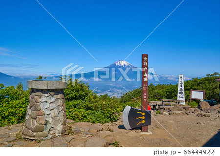 金時山の山頂から富士山方面眺望 66444922