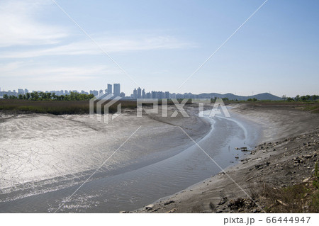 自然 風景 韓国 66444947
