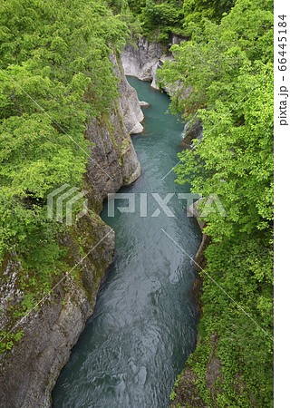 手取峡谷　黄門橋からの眺め（石川県白山市） 66445184
