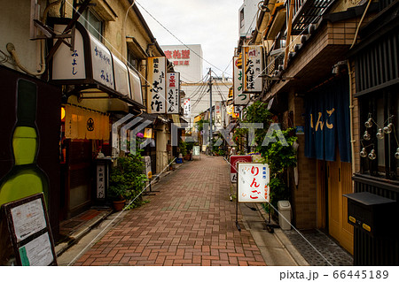 辰巳新道 66445189