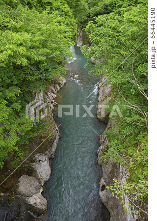 手取峡谷　黄門橋からの眺め（石川県白山市） 66445190