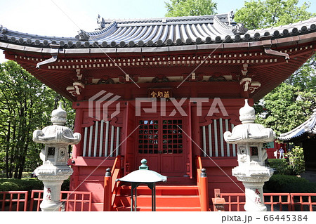 浅草寺 薬師堂 浅草寺 薬師堂 66445384