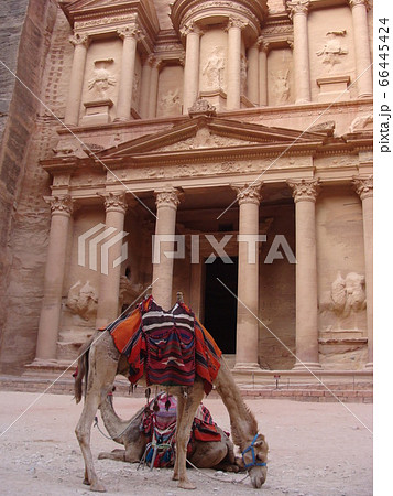 ペトラ遺跡とラクダ(ヨルダン) ペトラ遺跡とラクダ(ヨルダン) 66445424