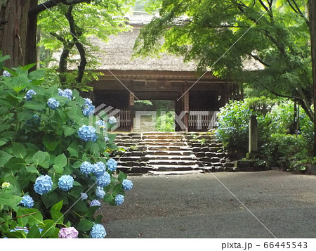 周防阿弥陀寺 周防阿弥陀寺 66445543