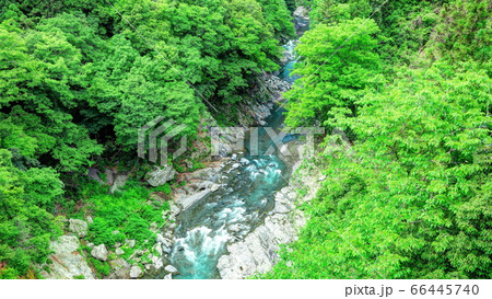 鳩ノ巣渓谷 鳩ノ巣渓谷 66445740