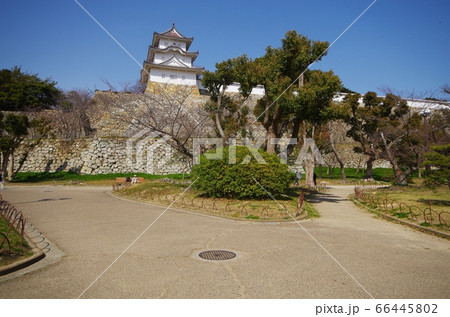 明石公園と城 66445802