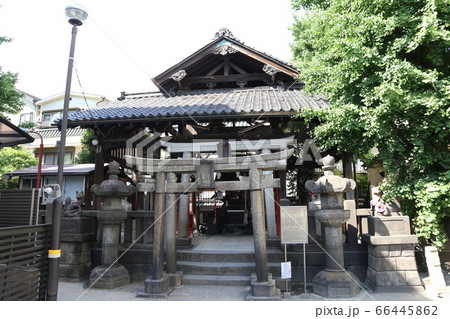 浅草神社　被官稲荷 66445862