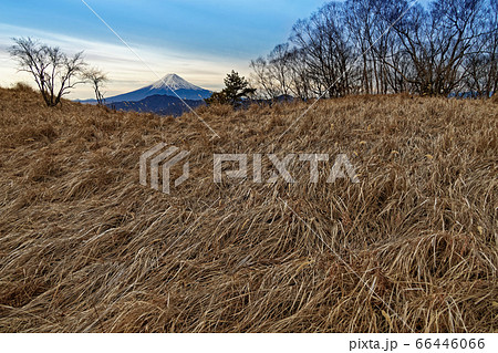 南大菩薩縦走路から見る初冬の富士山 66446066