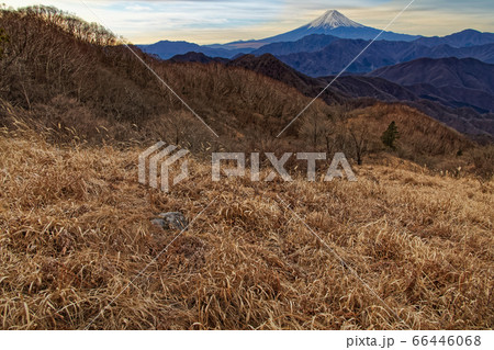 南大菩薩縦走路から見る初冬の富士山 66446068