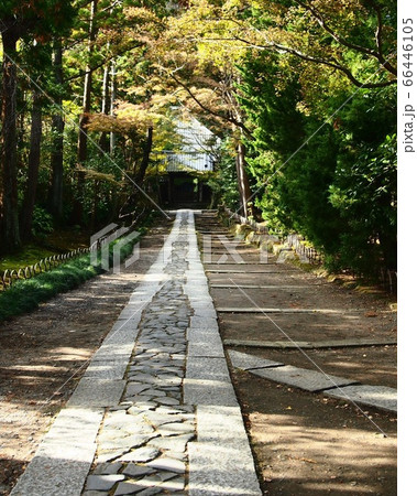 石畳の参道(寿福寺 鎌倉) 石畳の参道(寿福寺 鎌倉) 66446105