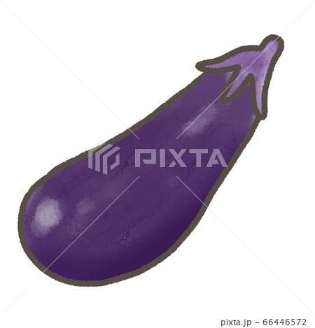 ナス ナス 66446572