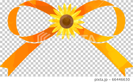 ひまわりの付いた蝶結びのリボンのイラスト 66446630