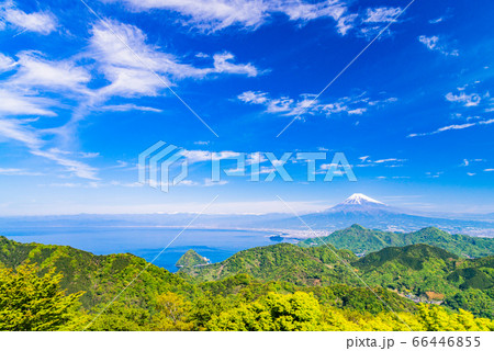 （静岡県）新緑の葛城山から富士山 66446855