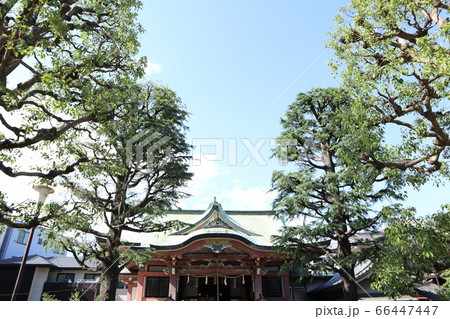 浅草　今戸神社 66447447