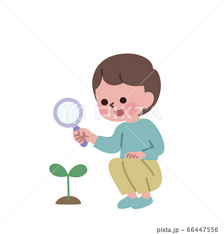 虫眼鏡で芽を観察する男の子のイラスト素材