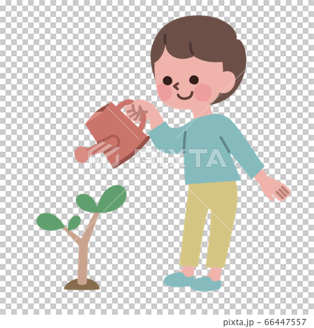 木にじょうろで水をあげる男の子 66447557