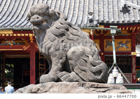 狛犬が見守る神社の入り口 狛犬が見守る神社の入り口 66447700