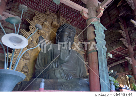 東大寺 盧舎那大仏 東大寺 盧舎那大仏 66448344