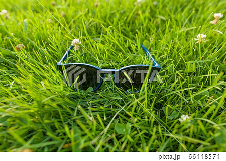 Sunglasses in bright green grass, summer accessory 66448574