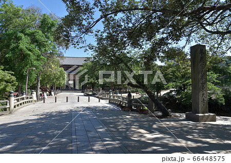 東大寺　参道 66448575