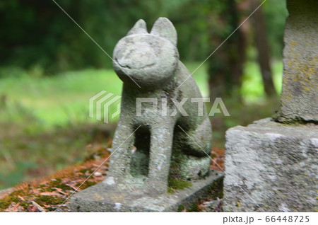 ちっちゃな狐の石像（山梨県甲府市甲府市） 66448725