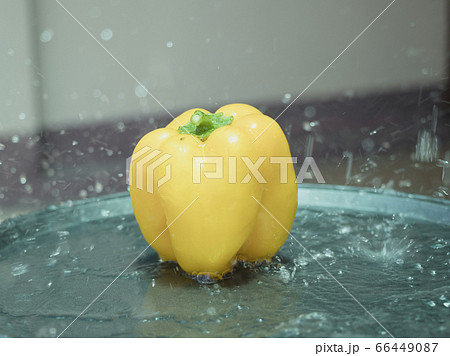 Bell pepper 66449087