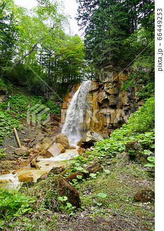 白藤の滝・足寄町 66449253