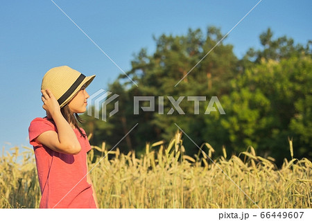 Portrait of beautiful girl in hat in wheat field Portrait of beautiful girl in hat in wheat field 66449607