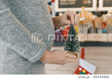 Closeup belly of pregnant woman with little christmas tree Closeup belly of pregnant woman with little christmas tree 66449880
