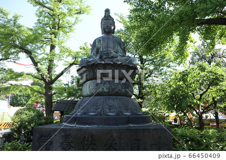 浅草寺 聖観音菩薩像の写真素材 [66450409] - PIXTA