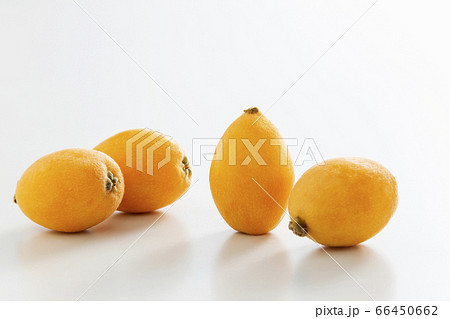 びわ　果物　枇杷 66450662